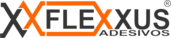 Logo Flexxus